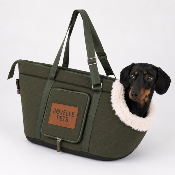 148616f8-06f2-4683-ba9a-fa11d3aa1996 Wilton Pet/Dog Carrier - Green