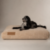 Oxford Orthopaedic Mattress - Camel