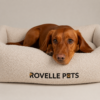 Boucle Box Bed - Ivory