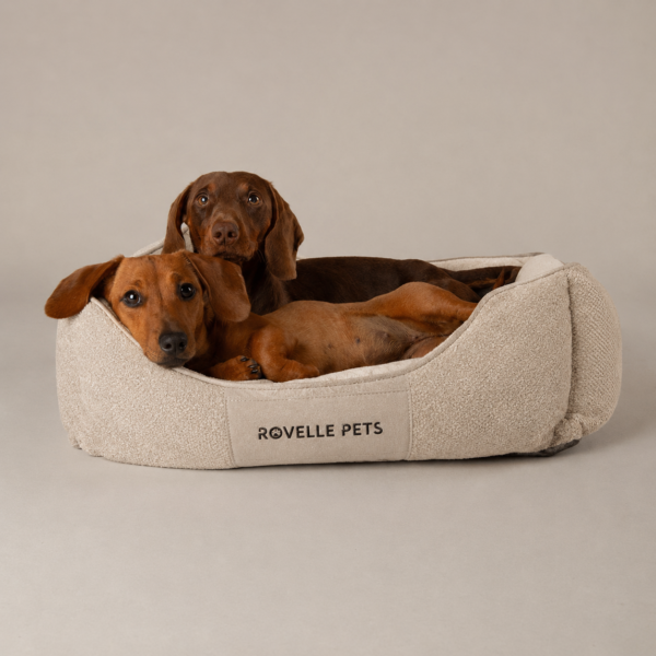 4db3c9f0-5d44-4f28-9ecc-50ff0618e3d8 Chester Box Dog Bed - Beige & Charcoal Grey