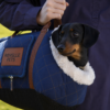 Wilton Pet/Dog Carrier - Blue