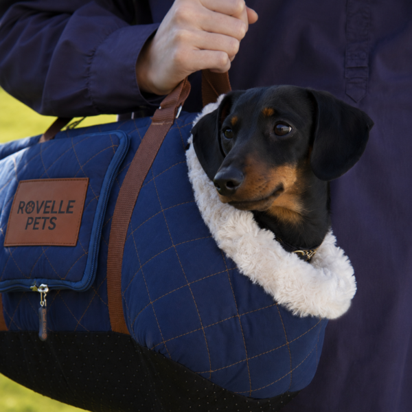Wilton Pet/Dog Carrier - Blue