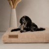 Oxford Orthopaedic Mattress - Camel