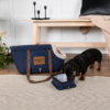 Wilton Pet/Dog Carrier - Blue