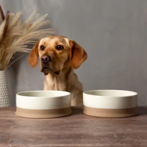 824295_1 Scandi 2 Piece Non Tip Pet Food & Water Bowl - Cream