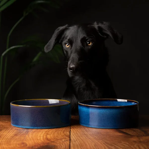829092_1 Reactive Glaze 2 Piece Dog Food & Water Bowl Set - Midnight Blue