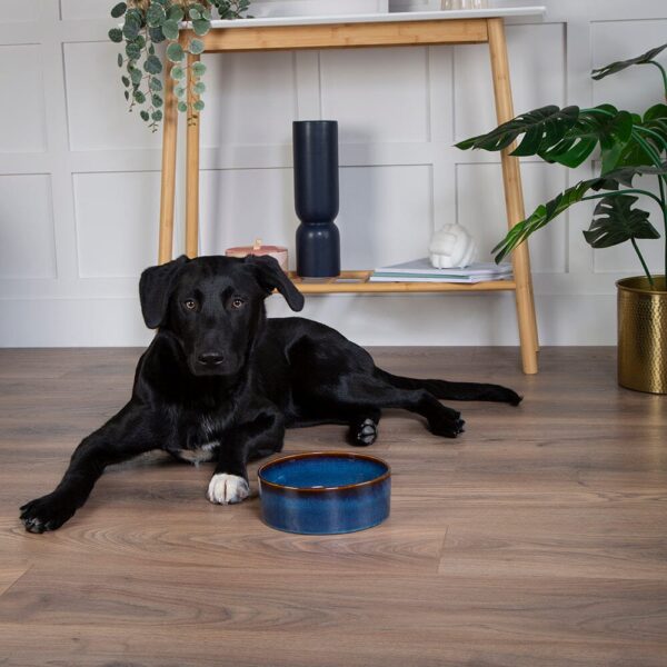829092_5 Reactive Glaze 2 Piece Dog Food & Water Bowl Set - Midnight Blue