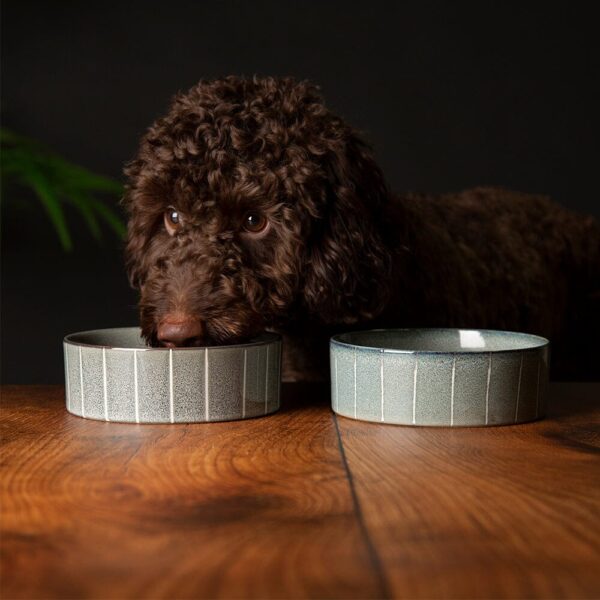829146_1 Reactive Glaze 2 Piece Dog Food & Water Bowl Set - Pinstripe Grey