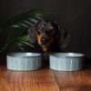 829153_1 Reactive Glaze 2 Piece Dog Food & Water Bowl Set - Pinstripe Grey