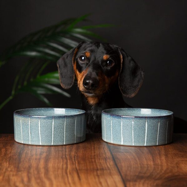 829153_1 Reactive Glaze 2 Piece Dog Food & Water Bowl Set - Pinstripe Grey