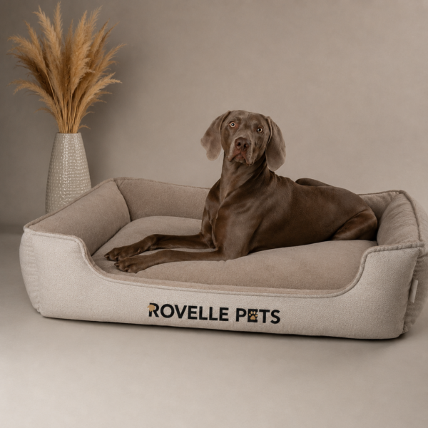 Harvard Memory Foam Box Bed - Pearl Grey