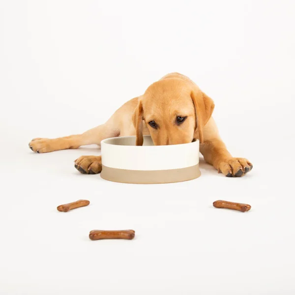 BOWRCD824295_3 Scandi 2 Piece Non Tip Pet Food & Water Bowl - Cream
