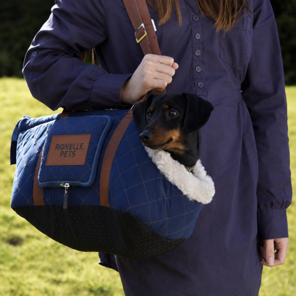Wilton Pet/Dog Carrier - Blue